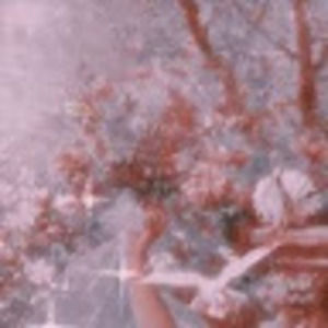 Meet your Posher, Iivanexssaii